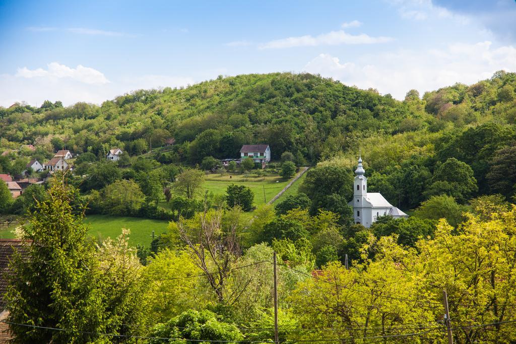 Lotuszvirag Vendeghaz Hotel Szekszárd Екстериор снимка