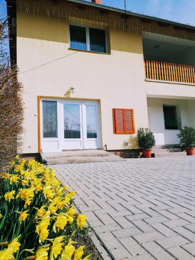 Lotuszvirag Vendeghaz Hotel Szekszárd Екстериор снимка