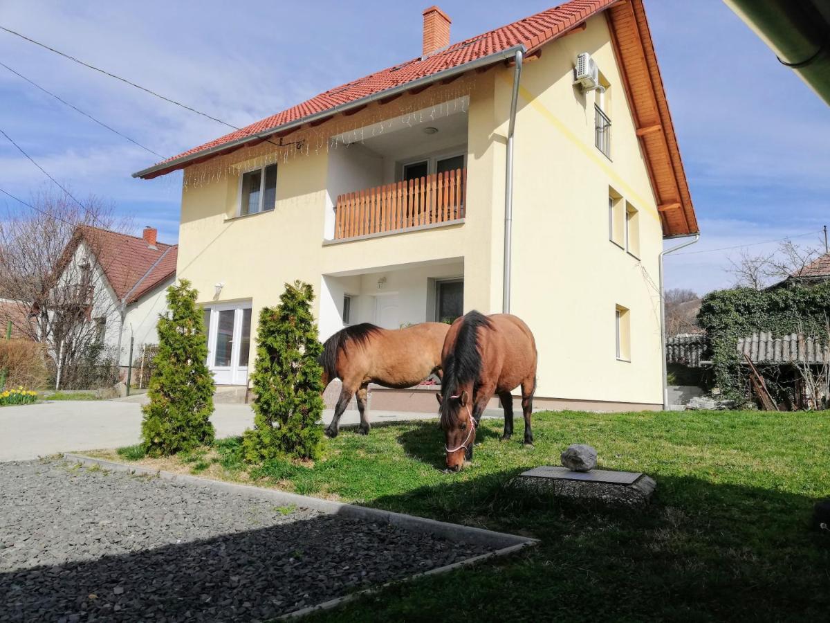 Lotuszvirag Vendeghaz Hotel Szekszárd Екстериор снимка